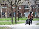 Toronto Star: Alexandra Park Redevelopment