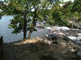 Bala Falls, including Native Marker Tree