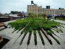 Inhabitat.com: Converting an elevated rail line to a park