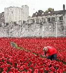 Globe and Mail: 1914-2014 Commemoration at Tower of London